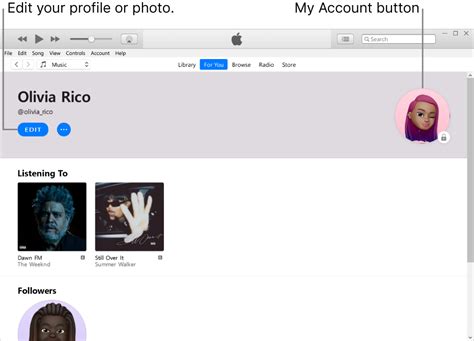 how to search for someone's Apple Music profile and their songs